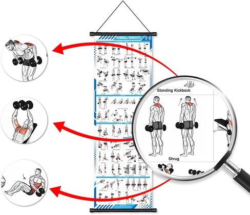 JCOHOY Dumbbell Workouts Poster Wall Chart, 15.75"×47.24" | Gym Exercise Guide, Strength Training, Home Fitness & Bodybuilding, Full-Body Dumbbell Routines in Kuwait