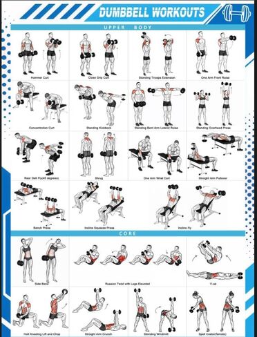 JCOHOY Dumbbell Workouts Poster Wall Chart, 15.75"×47.24" | Gym Exercise Guide, Strength Training, Home Fitness & Bodybuilding, Full-Body Dumbbell Routines in Kuwait