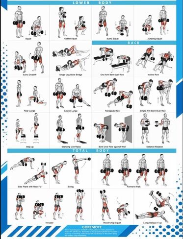 JCOHOY Dumbbell Workouts Poster Wall Chart, 15.75"×47.24" | Gym Exercise Guide, Strength Training, Home Fitness & Bodybuilding, Full-Body Dumbbell Routines in Kuwait