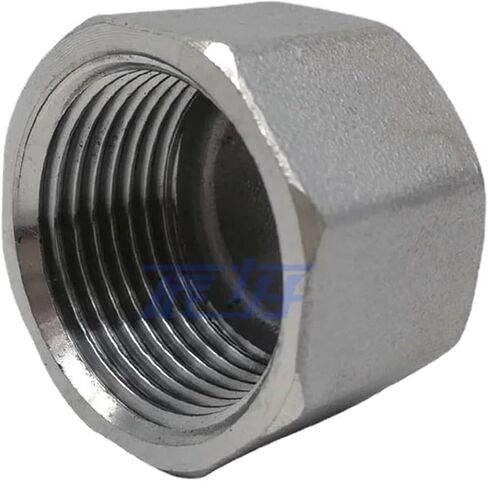 1/4" 3/8" 1/2" 3/4" 1" 1-1/4" 2" 3" 4" BSPT Female Hex End Cap 304 316 Stainless Steel Steel Pipe Fitting Water(BSPT SS316,HEX END CAP_3") in Kuwait