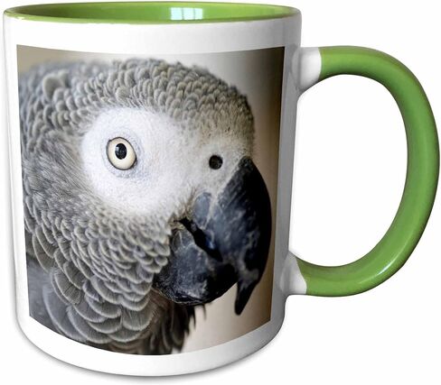 3dRose African Grey Parrot tropical bird - NA02 MFR0001 - MFR 11oz Two-Tone Green Mug in Kuwait