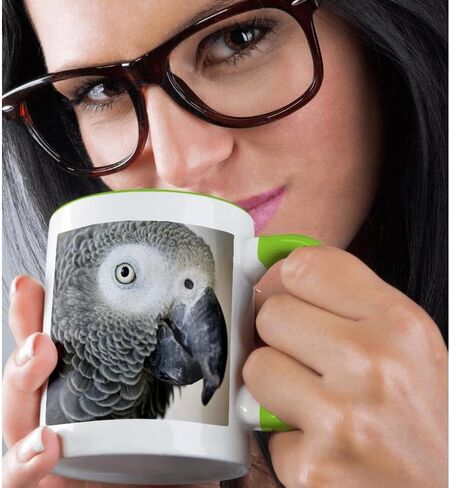 3dRose African Grey Parrot tropical bird - NA02 MFR0001 - MFR 11oz Two-Tone Green Mug in Kuwait