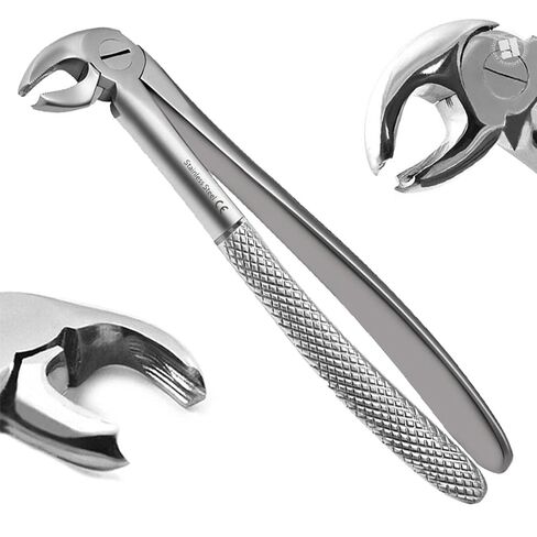 Fig-22 Tooth Forceps for Lower Molars | Hawk’s Bill English Pattern, Surgical Stainless Steel, Autoclave-Safe, Ergonomic Handle — 18–20 cm in Kuwait