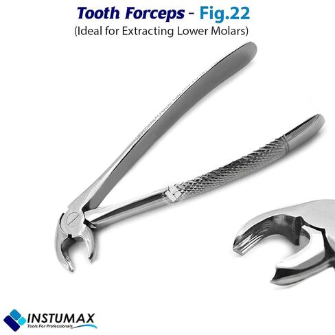 Fig-22 Tooth Forceps for Lower Molars | Hawk’s Bill English Pattern, Surgical Stainless Steel, Autoclave-Safe, Ergonomic Handle — 18–20 cm in Kuwait