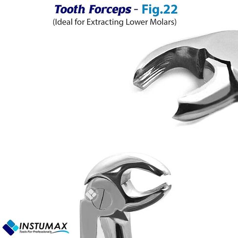 Fig-22 Tooth Forceps for Lower Molars | Hawk’s Bill English Pattern, Surgical Stainless Steel, Autoclave-Safe, Ergonomic Handle — 18–20 cm in Kuwait