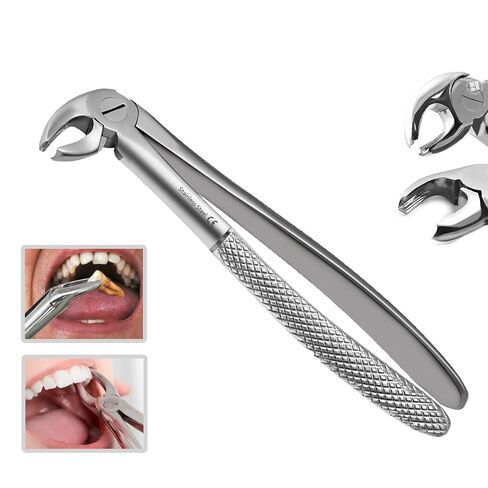 Fig-22 Tooth Forceps for Lower Molars | Hawk’s Bill English Pattern, Surgical Stainless Steel, Autoclave-Safe, Ergonomic Handle — 18–20 cm in Kuwait