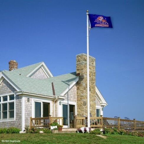 Savannah State University Tigers 3x5 Flag in Kuwait
