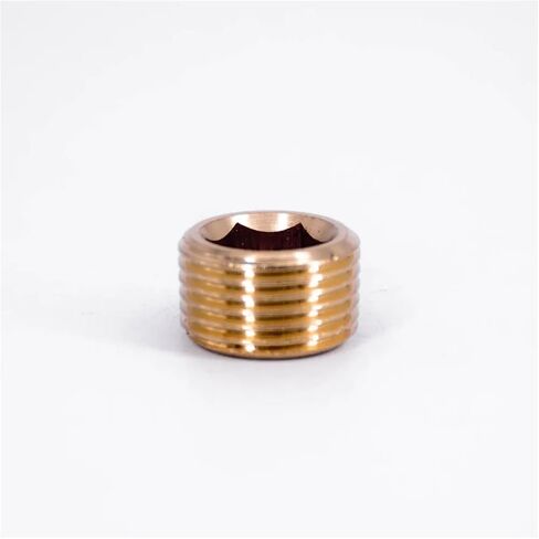 10 قطعة 3/8 "NPT bspt نهاية غطاء غاطسة Interel عرافة المقبس تركيب الأنابيب النحاسية وقود الغاز المياه (BSPT) in Kuwait