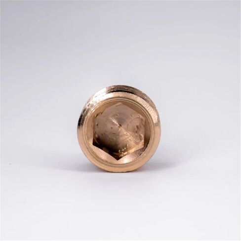 10 قطعة 3/8 "NPT bspt نهاية غطاء غاطسة Interel عرافة المقبس تركيب الأنابيب النحاسية وقود الغاز المياه (BSPT) in Kuwait