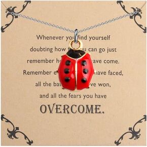 Lywjyb Birdgot Ladybug Necklace Cute Ladybug Gift Ladybird Pendant Good Luck Ladybug Gift for Women