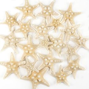 QEQEKAKA® 20PCS Starfish for Crafts 1" to 3" Natural Starfish Decor Bulk, for Wedding Beach Theme Decor Home DIY Crafts Decor Christmas Tree Starfish Ornaments