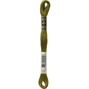 Dmc 6-Strand Embroidery Cotton 8.7yd-Olive Green