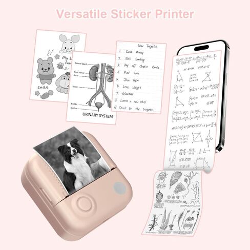 Mini Printer,Thermal Printers Sticker Maker with 3 Rolls Paper,Portable Wireless Bluetooth Inkless Printer, Recharge Pocket Label Maker, Small Printer for Scrapbook Supplies,Photo, Pink in Saudi Arabia