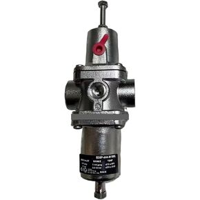 B38P-444-M1MA 1/2NPT Screw Thread Stainless Steel Filter Pressure Reducing Valve in Saudi Arabia