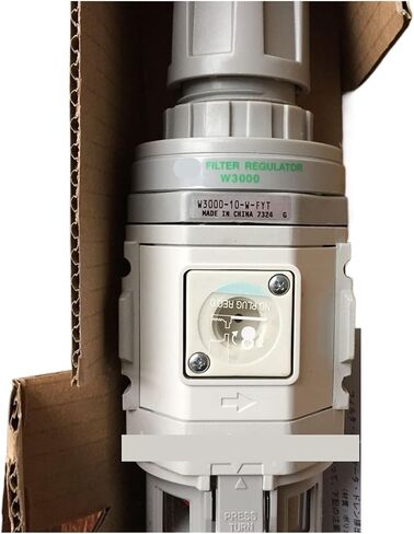 صمام تخفيض ضغط المرشح W3000-10-W-FYT in Kuwait