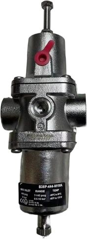 B38P-444-M1MA، صمام تخفيض المرشح، 1/2 'NPT Thread in Kuwait
