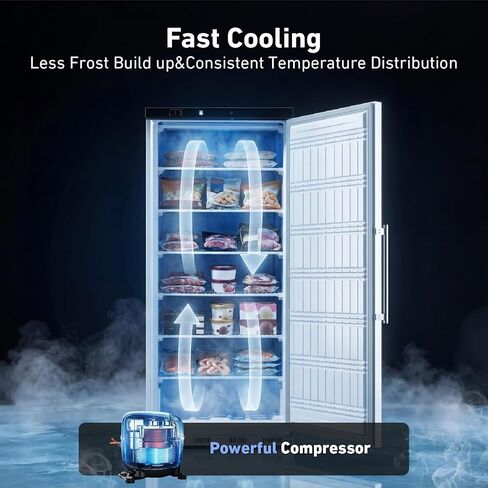 Commercial Reach-In Upright Freezer 20.5 Cu.Ft, 31" White Single Door Freezer with Lock, Energy-Efficient, Manual Defrost, ETL NSF DOE Certified for Restaurant Garage Home in Kuwait
