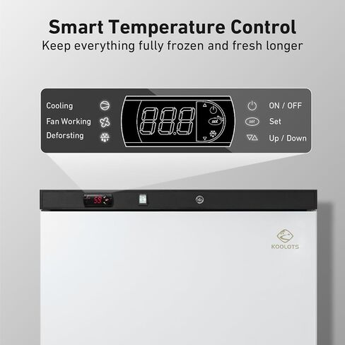 Commercial Reach-In Upright Freezer 20.5 Cu.Ft, 31" White Single Door Freezer with Lock, Energy-Efficient, Manual Defrost, ETL NSF DOE Certified for Restaurant Garage Home in Kuwait