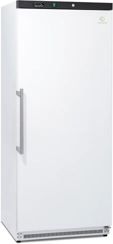 Commercial Reach-In Upright Freezer 20.5 Cu.Ft, 31" White Single Door Freezer with Lock, Energy-Efficient, Manual Defrost, ETL NSF DOE Certified for Restaurant Garage Home in Kuwait