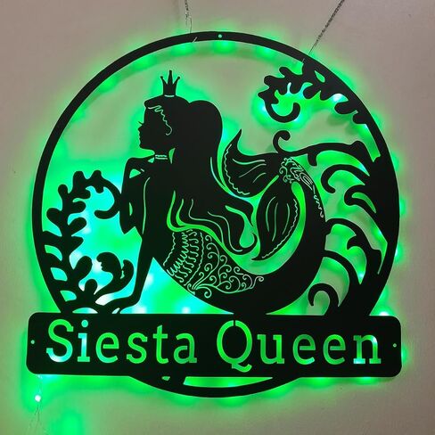 TIZE Metal Sign Custom Name-Custom Netball Medal Holder LED Light, Personalized Netball Player Name Medal Hanger, Netball Medal Display Awards Sign, Custom Netball Sign,16 color led light in Kuwait