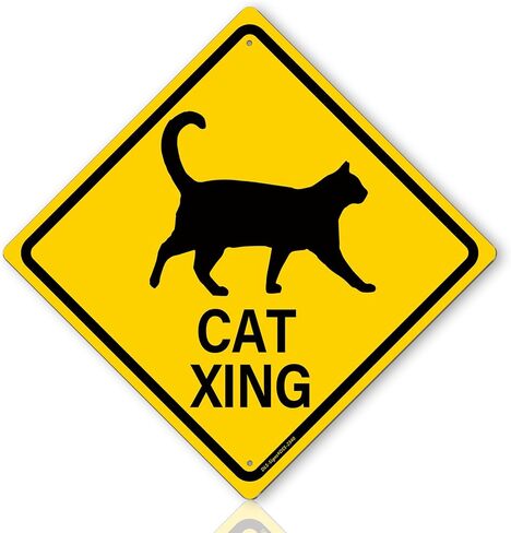 Cat Crossing Signs - 12 × 12″ Street Sign with "CAT XING" for Road Sign Room Decor, Indoor/Outdoor Use in Kuwait