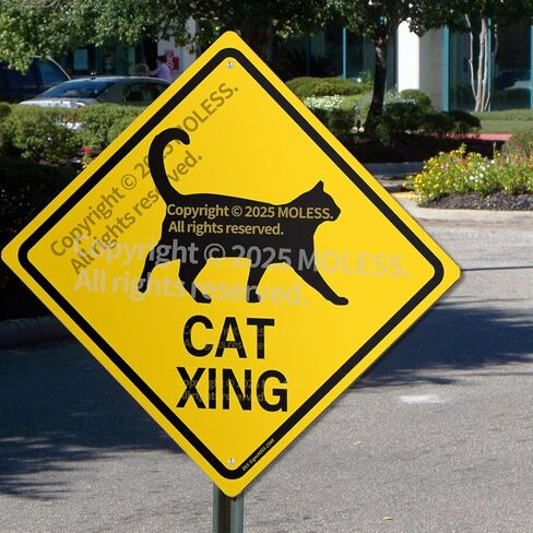 Cat Crossing Signs - 12 × 12″ Street Sign with "CAT XING" for Road Sign Room Decor, Indoor/Outdoor Use in Kuwait