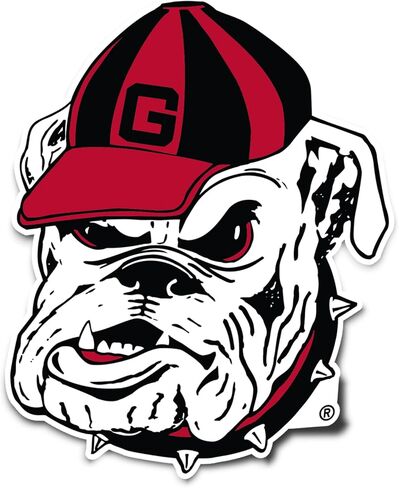 Desert Cactus University of Georgia Sticker Bulldogs UGA Dawgs Vinyl Decal Laptop Water Bottle Car Scrapbook (IND 35) in Kuwait