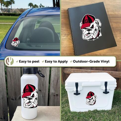 Desert Cactus University of Georgia Sticker Bulldogs UGA Dawgs Vinyl Decal Laptop Water Bottle Car Scrapbook (IND 35) in Kuwait