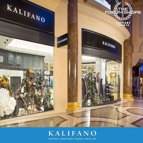 مجموعة أحفورات KALIFANO - تتضمن أحفورة أسنان سمك القرش، وزوج صدفة الأمونيت، وثلاثية الفصوص، وعظام العظام مع بطاقات المعلومات (مملوكة/مُدارة عائليًا) in Kuwait