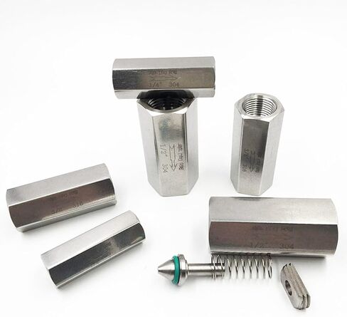 1100 psi 1" BSP Female 304 Stainless Steel One Way Check Valve Full Port Air Gas Water in Saudi Arabia