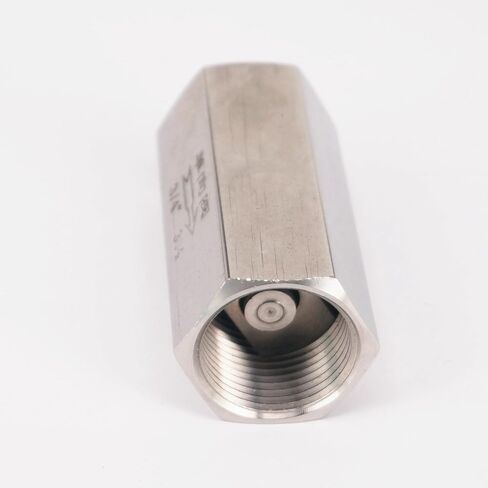 1100 psi 1" BSP Female 304 Stainless Steel One Way Check Valve Full Port Air Gas Water in Saudi Arabia