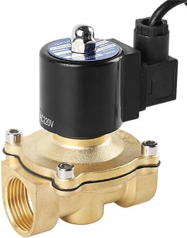 2 بوصة صمام الملف اللولبي نافورة AC220V DC24V 12 فولت صمامات نحاسية مغلقة عادة تحت الماء 1 قطعة (24VDC_EPDM-SEAL) in Kuwait