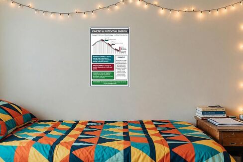 Kinetic and Potential Energy Roller Coaster Diagram Educational 12x18 US Made Poster in Saudi Arabia