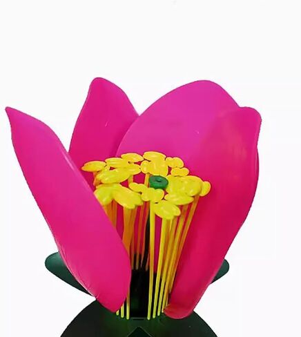 Life Size Artificial Flower Anatomy Model with Removable Parts for Botany Classroom Instruction and Group Activities Plastic Flower Model for Classroom in Kuwait