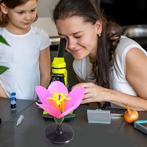 Life Size Artificial Flower Anatomy Model with Removable Parts for Botany Classroom Instruction and Group Activities Plastic Flower Model for Classroom in Kuwait