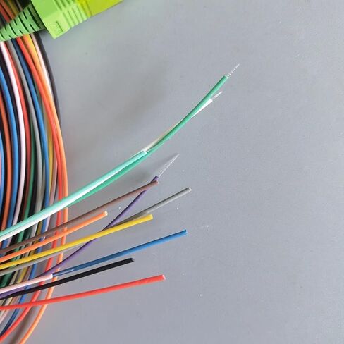 12 Core Single Mode SC/ 2M0.9mm Optical Fiber Jumper in Saudi Arabia