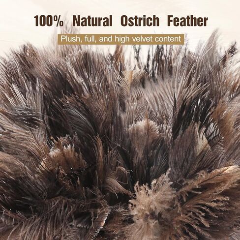 2pcs Ostrich Feather Dusters，Reusable Feather Duster with Wood Handle, Ostrich Feather Dusters for Cleaning, Office, Home, Car(Length13" in Kuwait