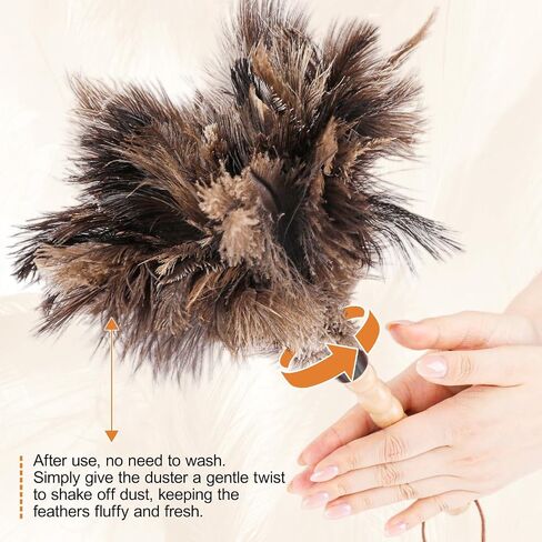 2pcs Ostrich Feather Dusters，Reusable Feather Duster with Wood Handle, Ostrich Feather Dusters for Cleaning, Office, Home, Car(Length13" in Kuwait
