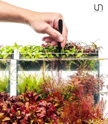أدوات UNS Aquascaping - الفولاذ المقاوم للصدأ، مقاوم للصدأ، خزان مزروع بالمياه العذبة، ملحقات صيانة حوض السمك للشعاب المرجانية في المياه المالحة - الزراعة، إعداد المرجان - دبوس مستقيم، أسود in Kuwait