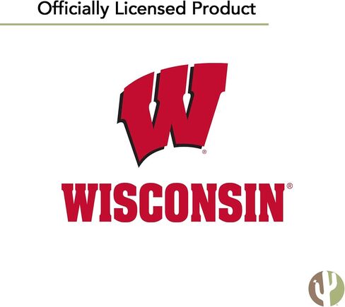 Desert Cactus University of Wisconsin UW Flag - 3 x 5 Feet Badgers Banner, Indoor/Outdoor Durable Fabric, 100% Polyester Design (Style C) in Kuwait