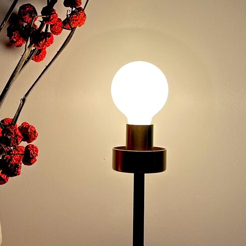 لمبة إضاءة LED من Leools G30/G95 بيضاء لامعة خالية من النقر 6 وات بيضاء ناعمة 3000 كيلو CRI95 600LM، لمبة إضاءة LED اديسون غلوب عتيقة مكافئة 60 وات، قاعدة E26 القياسية، 4 عبوات in Kuwait