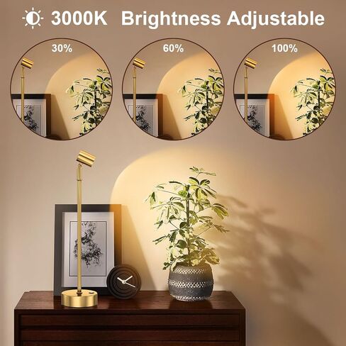 IMAGE Golden Cordless Spotlight عالية الطاقة قابلة للتعديل على شكل طاولة للنباتات والأعمال الفنية وعروض المجوهرات والأرفف والخزانة، لاسلكي أبيض دافئ، USB من النوع C، للمنزل، المطعم، والبار in Kuwait