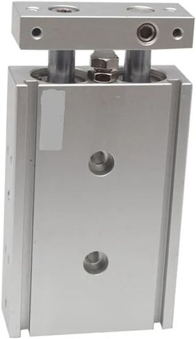 1pcs Double Shaft Double Rod Pneumatic Cylinder TR10X10S TR10X15S TR10X20S TR10X25S TR10X30S TR10X40S TR10X50S TR10X60S(TR10X10S) in Kuwait