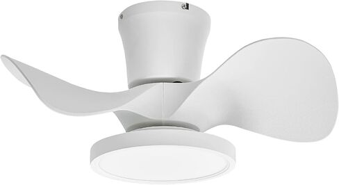 ocioc Quiet Ceiling Fan with LED Light 22 inch Large Air Volume Remote Control for Kitchen Bedroom Dining Room Patio in Kuwait