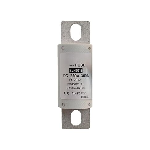 Fuse EVN5019-300A 250V in Kuwait
