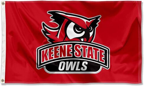 College Flags & Banners Co. Keene State Owls Logo Large Grommet Banner Flag in Kuwait