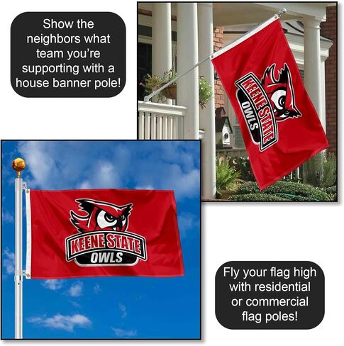 College Flags & Banners Co. Keene State Owls Logo Large Grommet Banner Flag in Kuwait