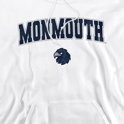LOGOVISION Official Collegiate Arch Logo Secondary Adult Pull-Over Hoodie Collection 3 in Kuwait