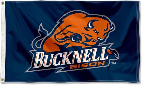 شعار Bucknell Bison 3x5 علم جروميت in Kuwait