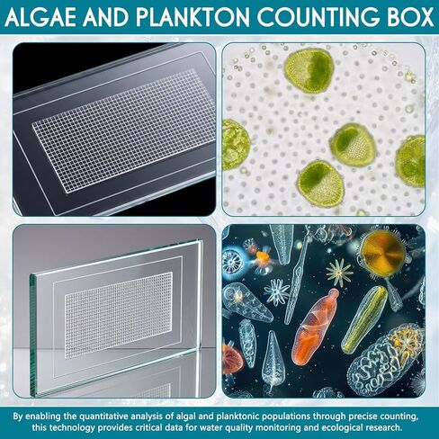 Konohan 1ml 1000 Grid Plankton Counting Chamber with Grid and 100pcs Microscope Glass Cover Slips and 1pcs Handheld Tally Counter for Phytoplankton Zooplankton Analysis Identification in Water Sample in Kuwait
